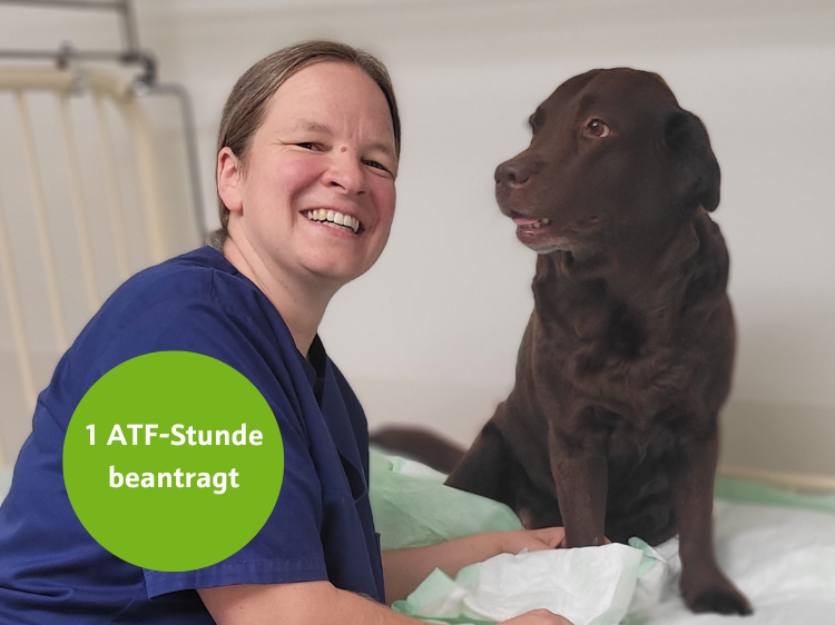 Infusionstherapie meistern
